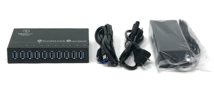 RealSimGear 10 Port USB3 Hub